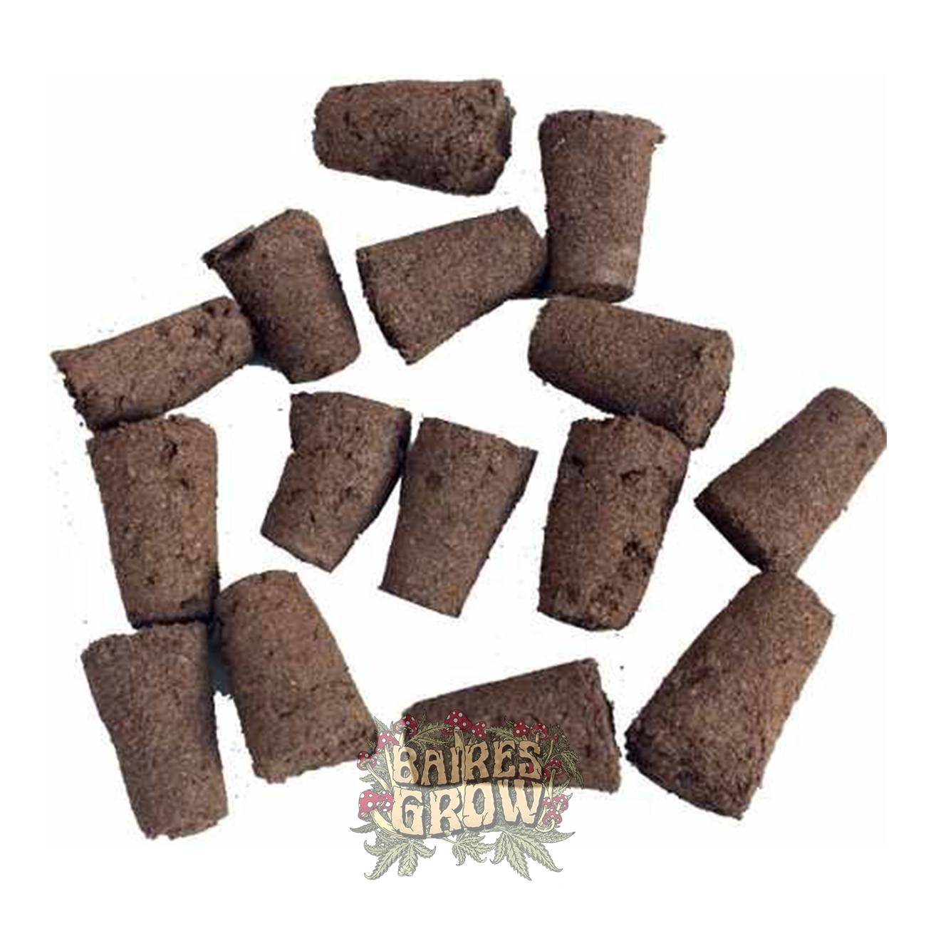 bairesgrow 2d4c1180 98ff 4f59 a963 1cb31865191512220 1 2.webp