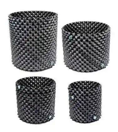 bairesgrow 43127310 a7b7 40f9 8bd3 5dc906292d731765 2.webp