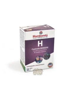 MAMBORETA H