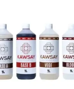 bairesgrow 837f48de 1498 49d7 8986 4b577f8ff6f81713 1 2.webp