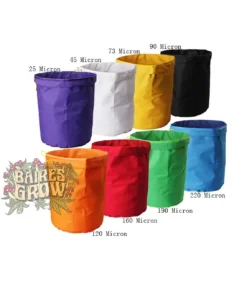 bairesgrow abc8123e d2b4 4ad4 b119 6f5d9b32c83812616 1 1.webp