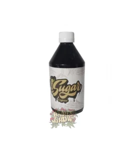 bairesgrow baa6a15c fb2c 4248 afac d966d2c6c53b12714 1 2.webp