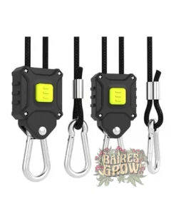 bairesgrow c1777190 68fb 4c52 84e0 cbdfd9c43fda12502 1 1.webp