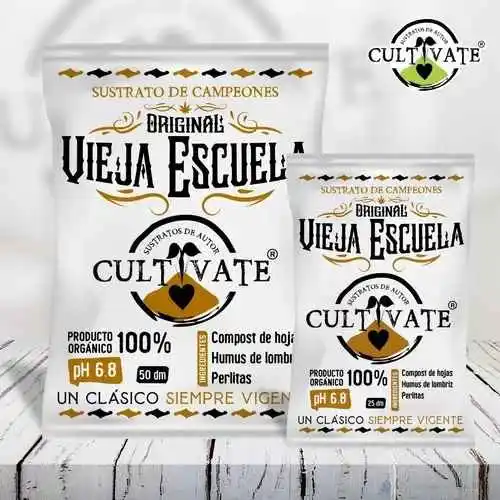 bairesgrow d4955253 62a1 49e8 a09b 5eb55c3ffbc31857 2.webp