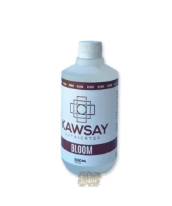 bairesgrow f6b56a74 f8b1 4366 834e 34ab5c5c8fd11953 1 2.webp
