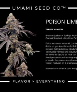 Alternative view of POISON LIME