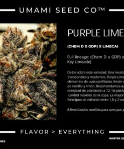 Alternative view of PURPLE LIMEADE
