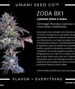 Alternative view of ZODA BX1