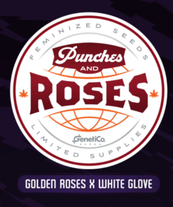 PUNCHES AND ROSES - 5