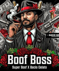 Boof Boss - 3