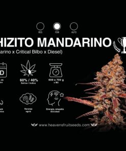 CHIZITO MANDARINO
