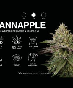 BANNAPPLE