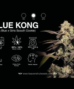 BLUE KONG