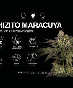 CHIZITO MARACUYA