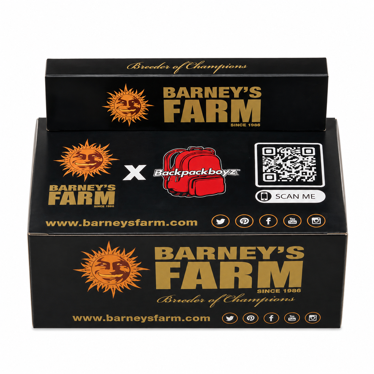 SEDAS KING SIZE SLIM CON FILTROS BARNEY'S FARM