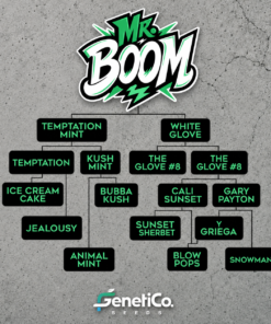 Mr. BOOM - 5 - Imagen 3
