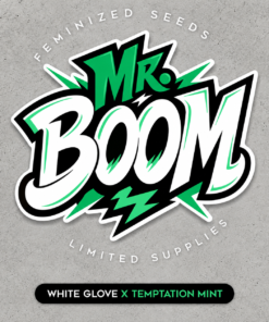 Mr. BOOM - 5