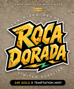 ROCA DORADA - 5