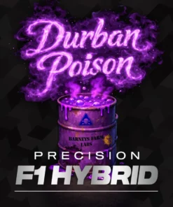 DURBAN POISON - 3