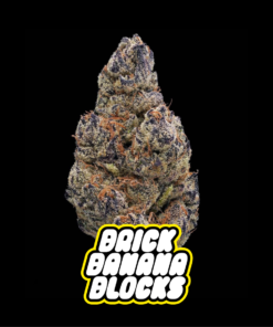 BRICK BANANA BLOCKS
