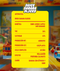 Alternative view of BRICK BANANA BLOCKS AUTO