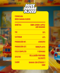 Alternative view of BRICK BANANA BLOCKS