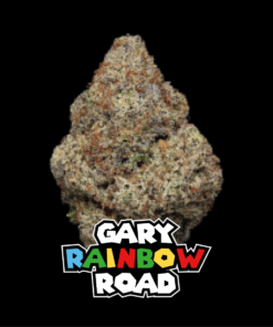 GARY RAINBOW ROAD
