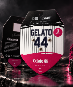 Alternative view of GELATO 44 - 3
