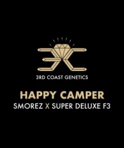 HAPPY CAMPER - 10