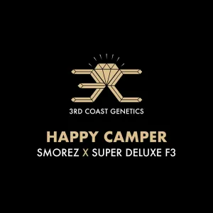 HAPPY CAMPER - 10