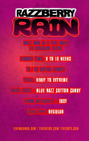 RAZBERRY RAIN - 10 - Imagen 2