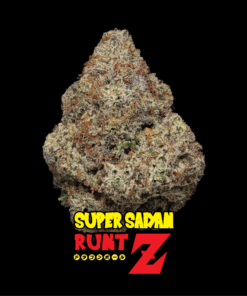 SUPER SAIYAN RUNTZ AUTO