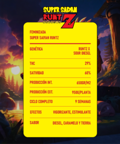 Alternative view of SUPER SAIYAN RUNTZ