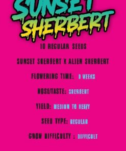 Alternative view of SUNSET SHERBERT - 10