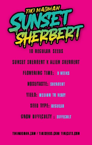 SUNSET SHERBERT - 10 - Imagen 2